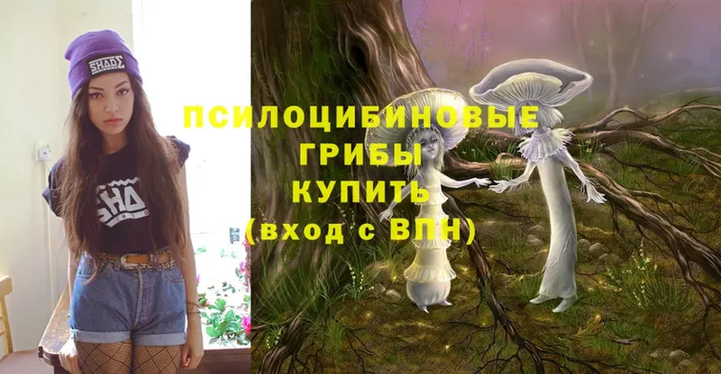 Галлюциногенные грибы Magic Shrooms  omg   Пестово 